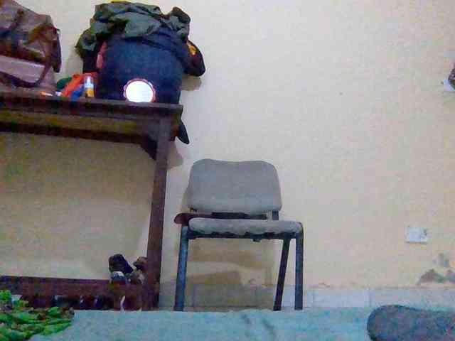 Swityass24 webcam