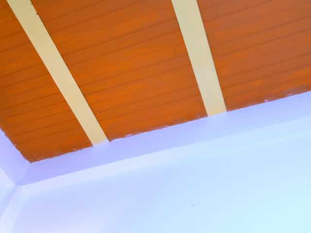 LizSheibaum live cam on BongaCams