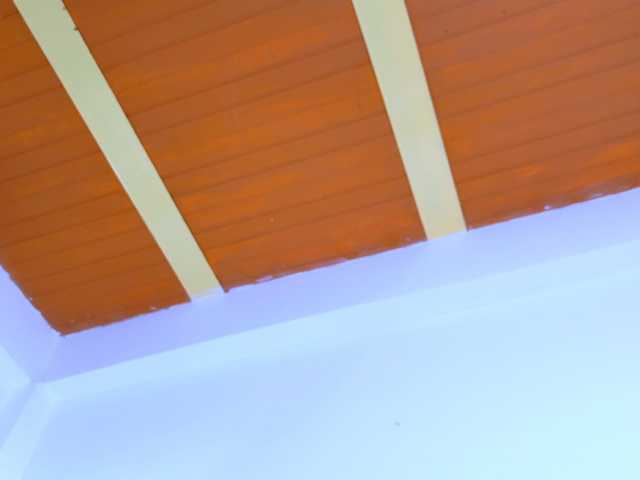 LizSheibaum live cam on BongaCams