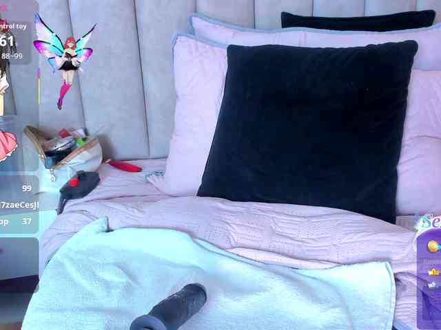 LizSheibaum webcam