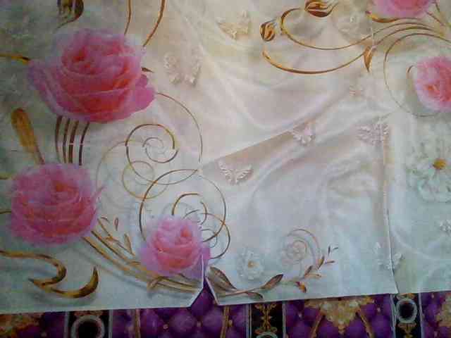 mili675 webcam