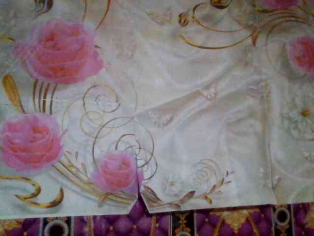 mili675 webcam