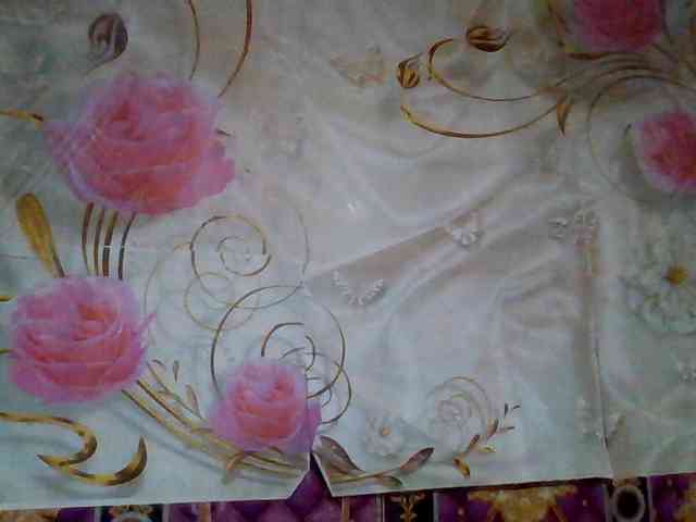 mili675 webcam