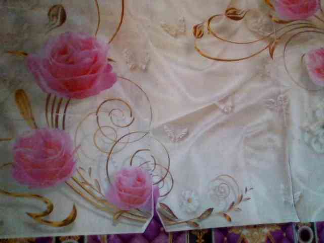 mili675 webcam