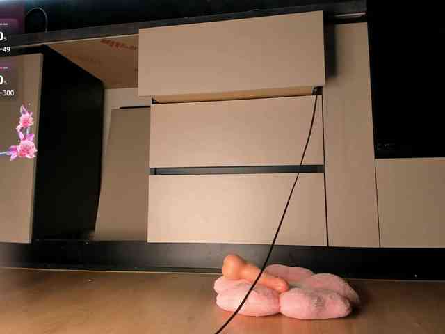 AnzuKim webcam