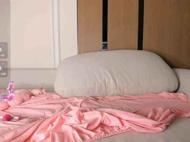 AnzuKim webcam