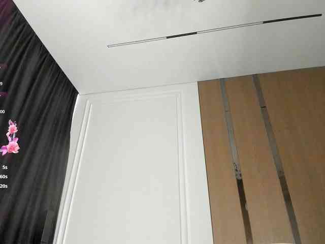 AnzuKim webcam