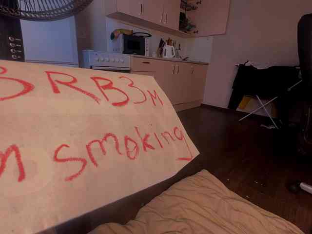 Nanabannana webcam