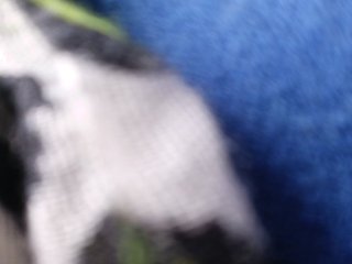 AlexaBrown12