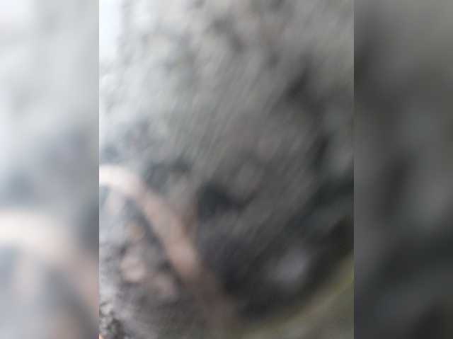AlexaBrown12