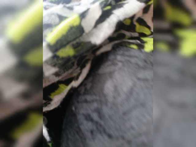 AlexaBrown12