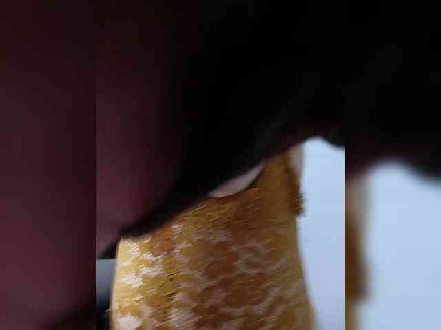 AlexaBrown12 webcam