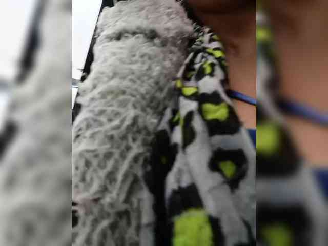 Modelo: AlexaBrown12