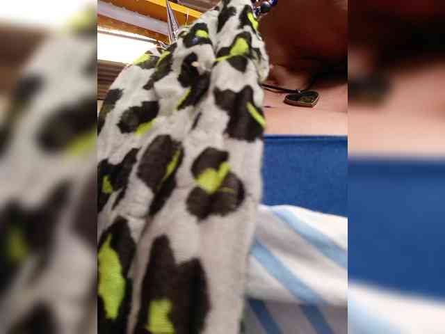 AlexaBrown12