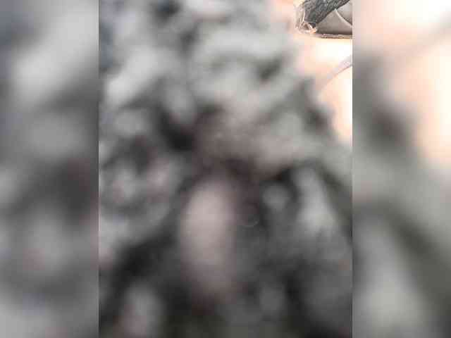 AlexaBrown12 webcam