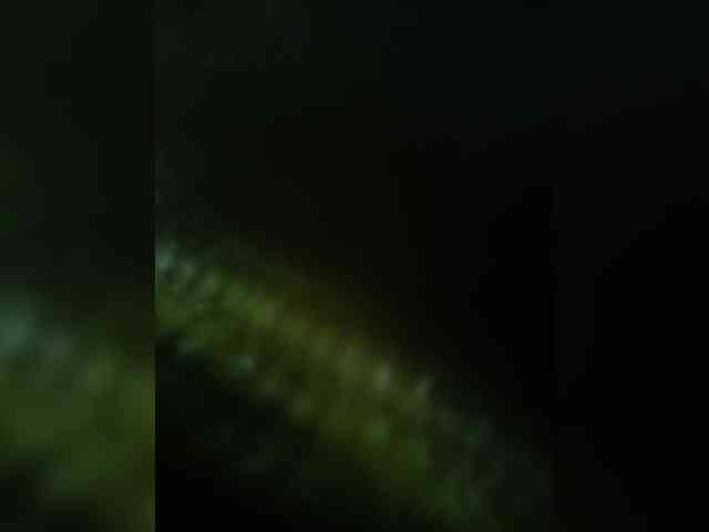 AlexaBrown12 AlexaBrown12
