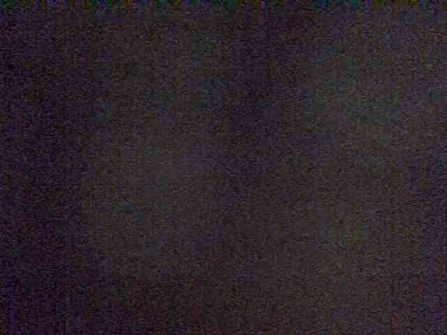 Payal-1-1 webcam