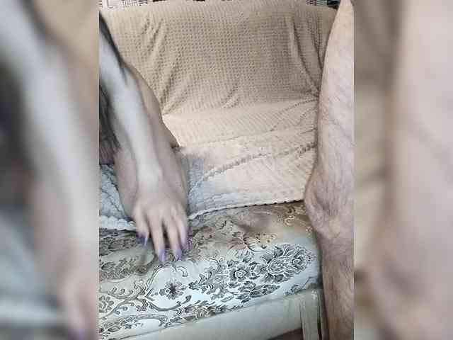 Your-dreams-1 webcam