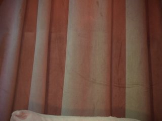 LexyTexas Porn Show