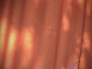 LexyTexas Porn Show