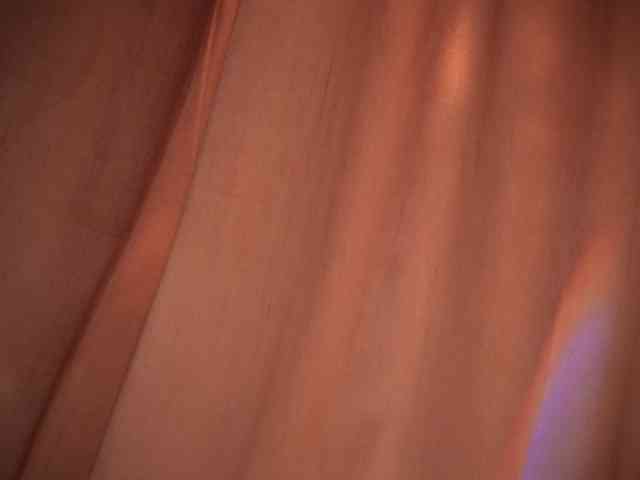 LexyTexas webcam
