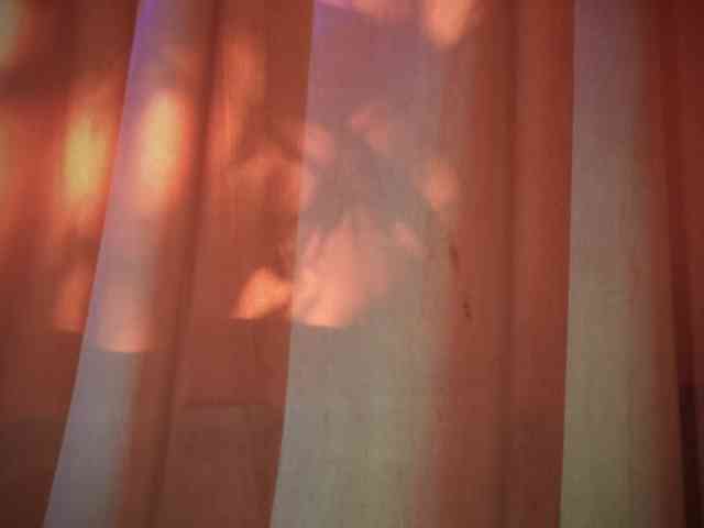 LexyTexas webcam