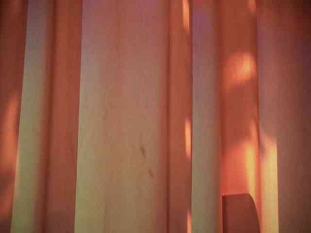 LexyTexas webcam