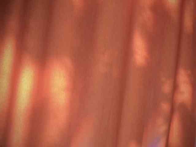 LexyTexas webcam