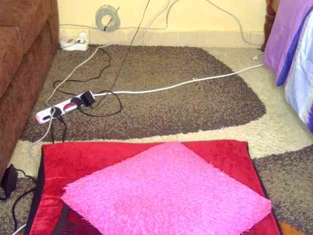 Merlin98 webcam
