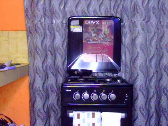 Merlin98 webcam