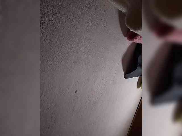 Stellahsexylove webcam