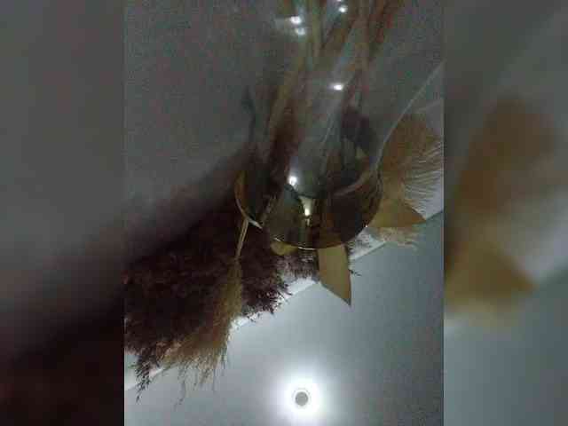 Tata42 webcam
