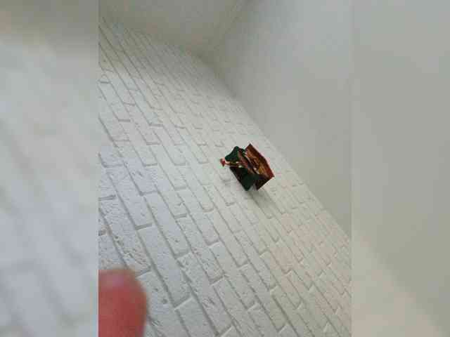 Tata42 webcam