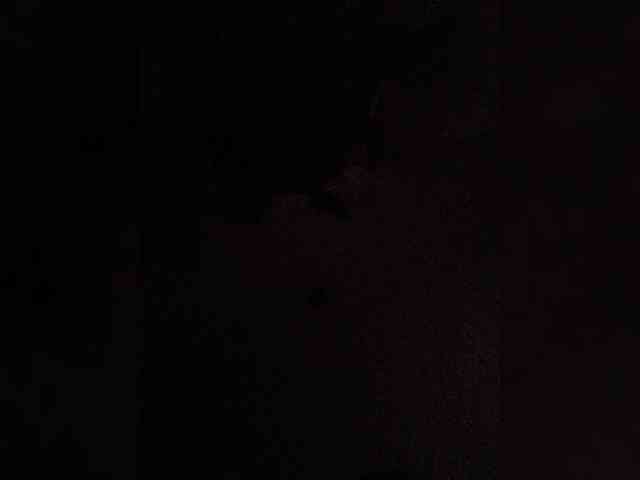 Tata42 webcam