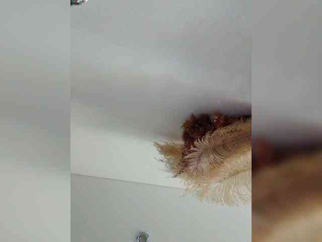 Tata42 webcam