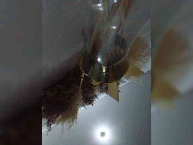Tata42 webcam