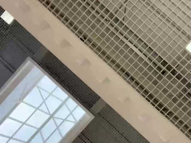 OlivkaVif