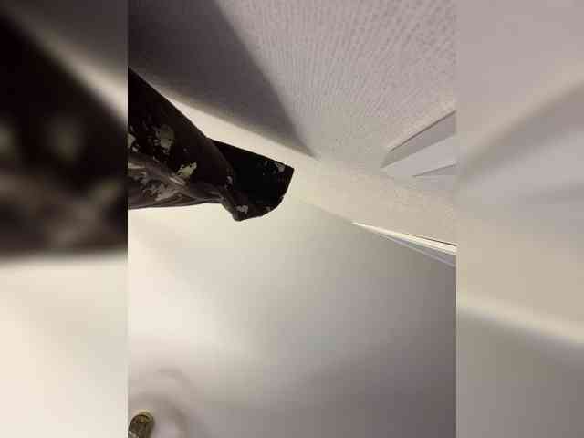 OlivkaVif webcam