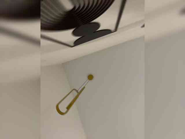 OlivkaVif webcam