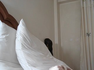 pussylips53 Porn Show
