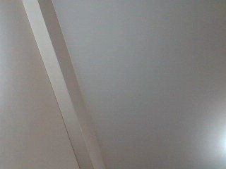 pussylips53 Porn Show