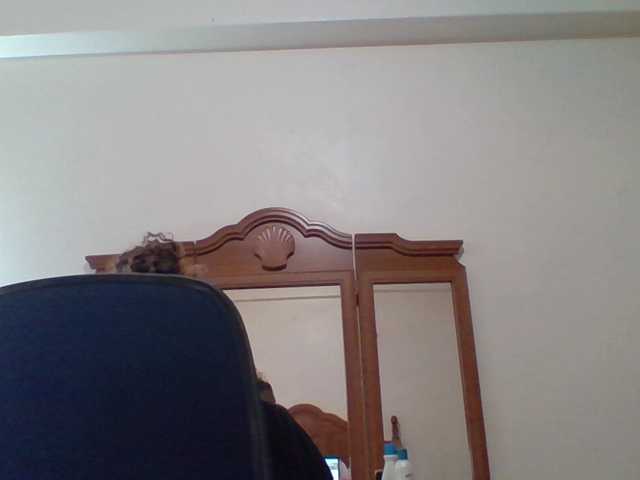 pussylips53's BongaCams show and profile