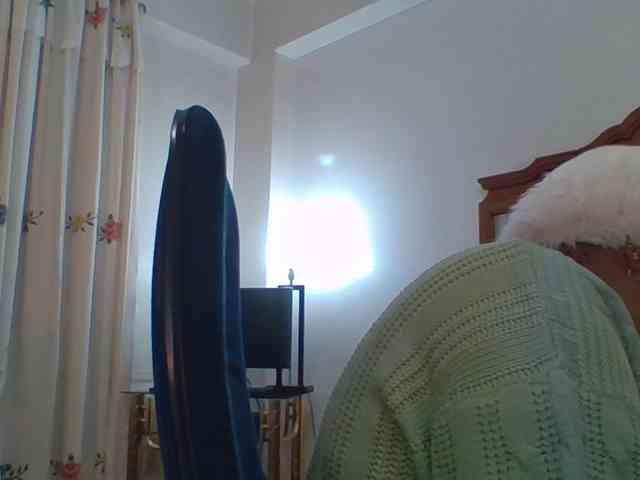 pussylips53 webcam