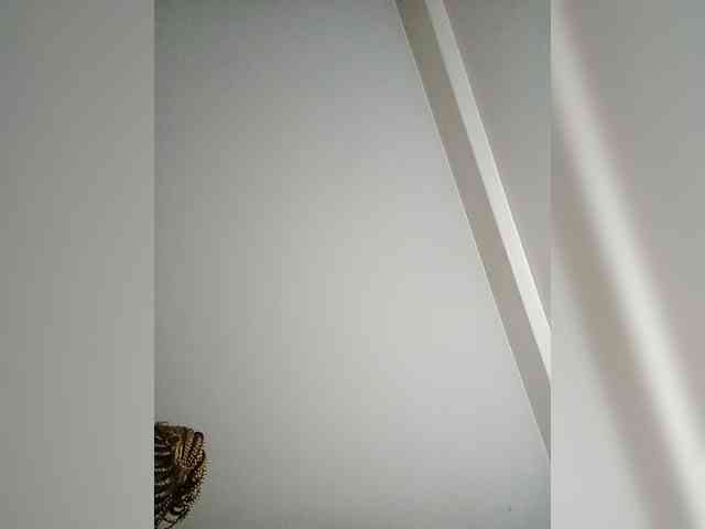 pussylips53 webcam