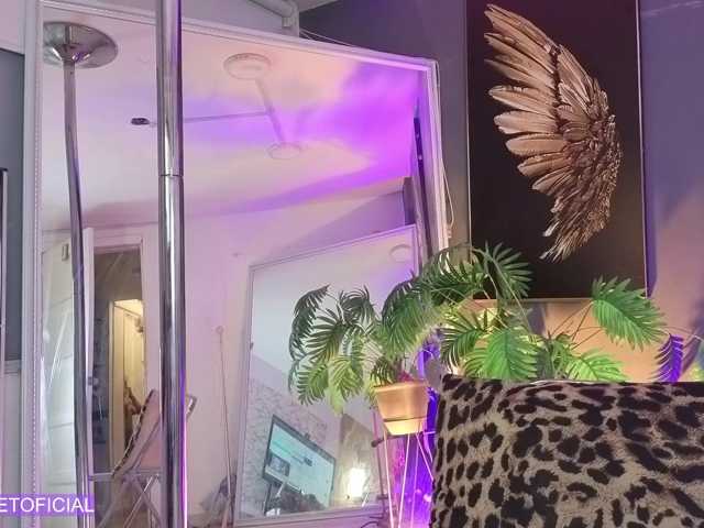 miasecretmodel