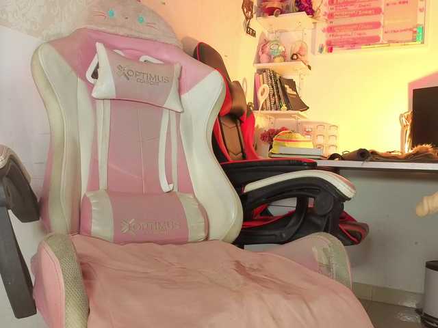 miasecretmodel