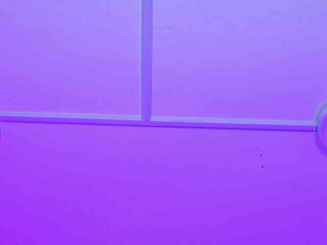 miasecretoficial webcam