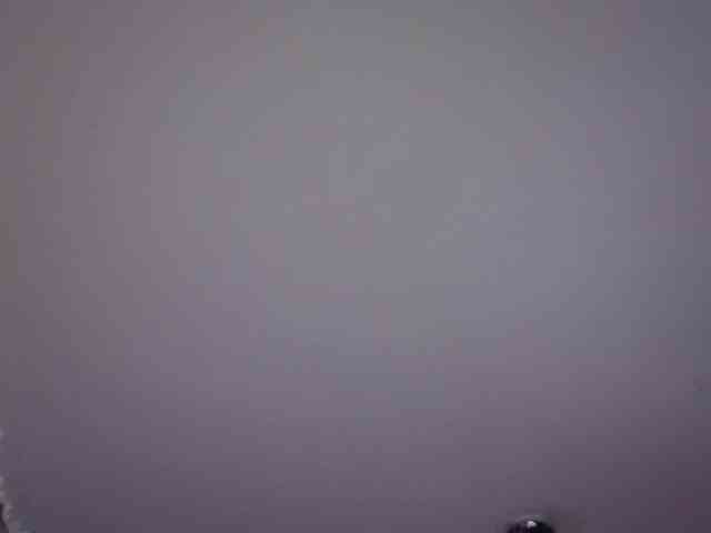 iam-momiji webcam