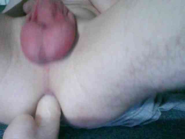 anyboy anyboy