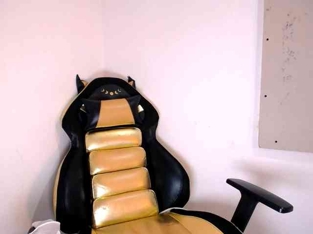 Cristal-ST webcam